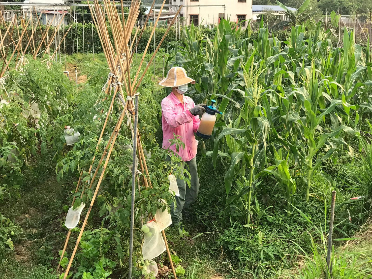 Be just to the earth, for the good of all beings.