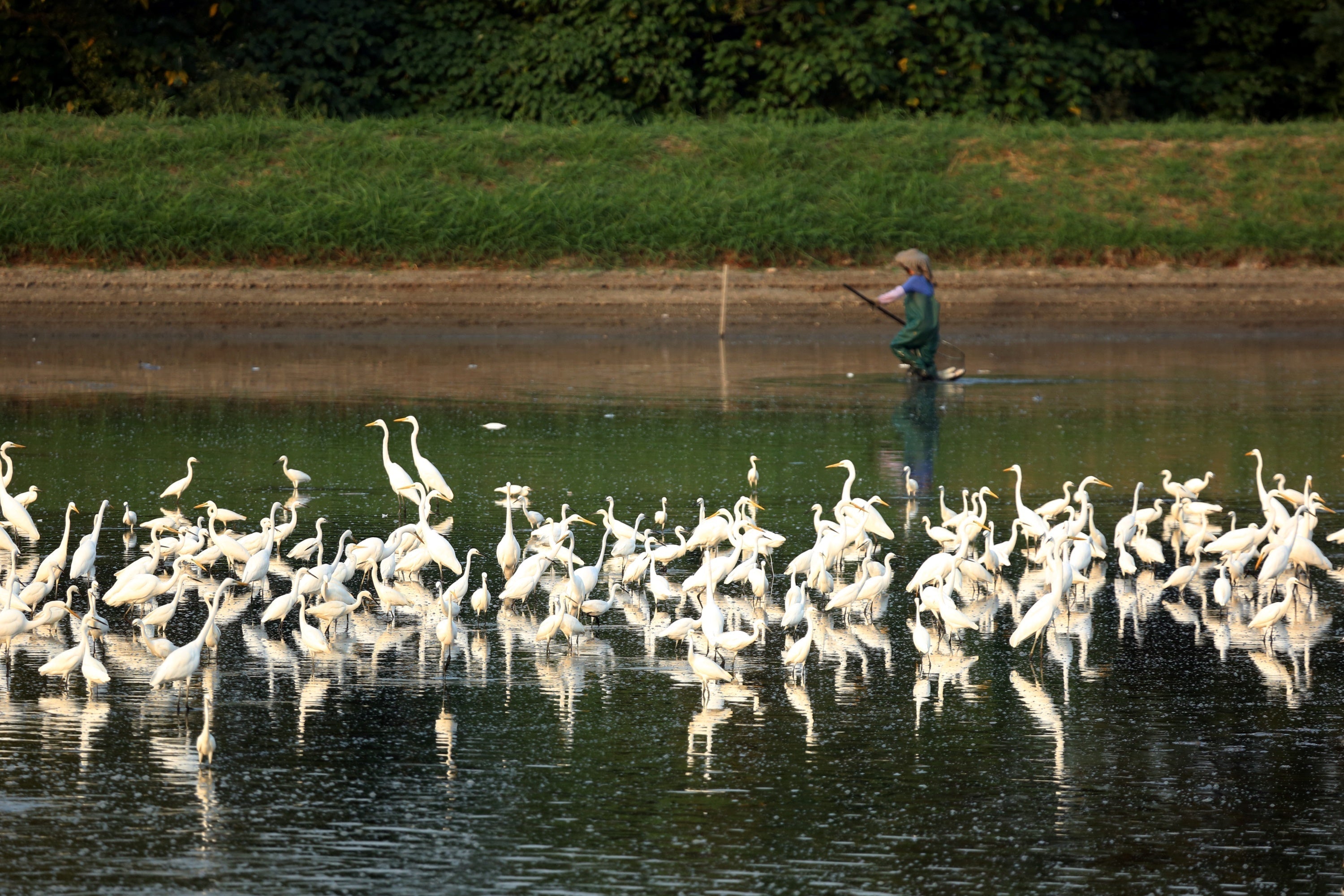 People and birds living in harmony