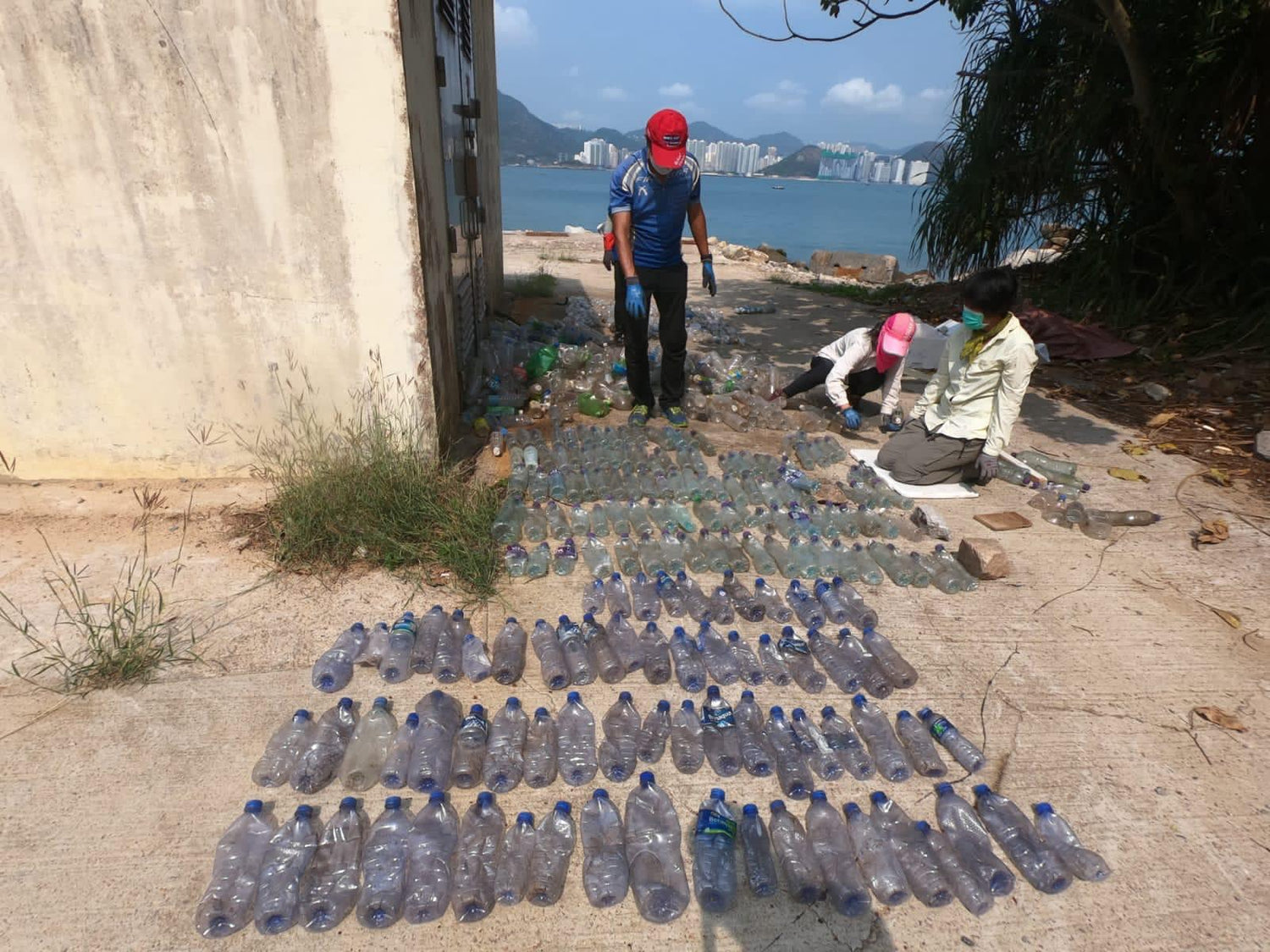 Living Lamma, Way to Show Your Love to Your Home