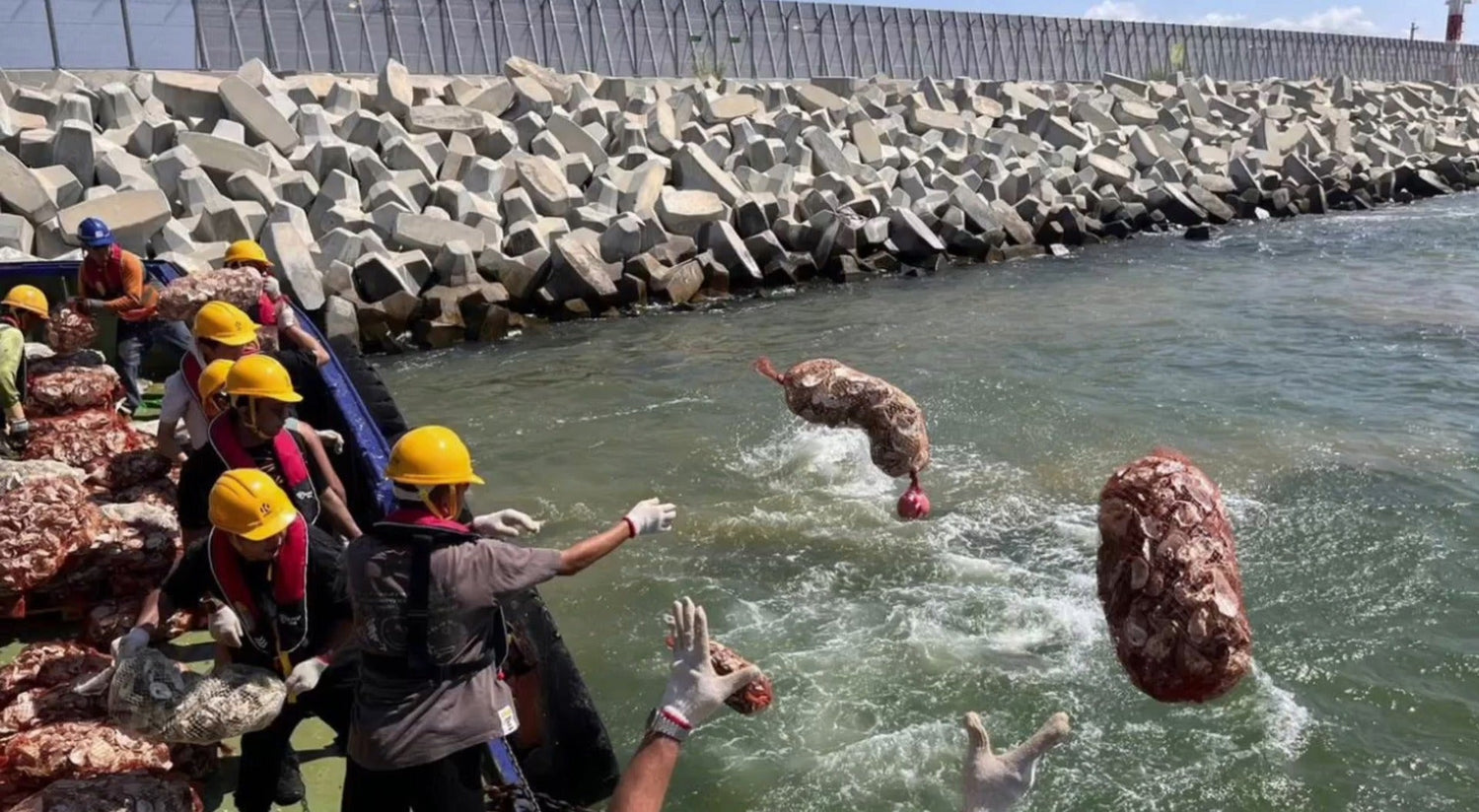 Turning Waste into Value