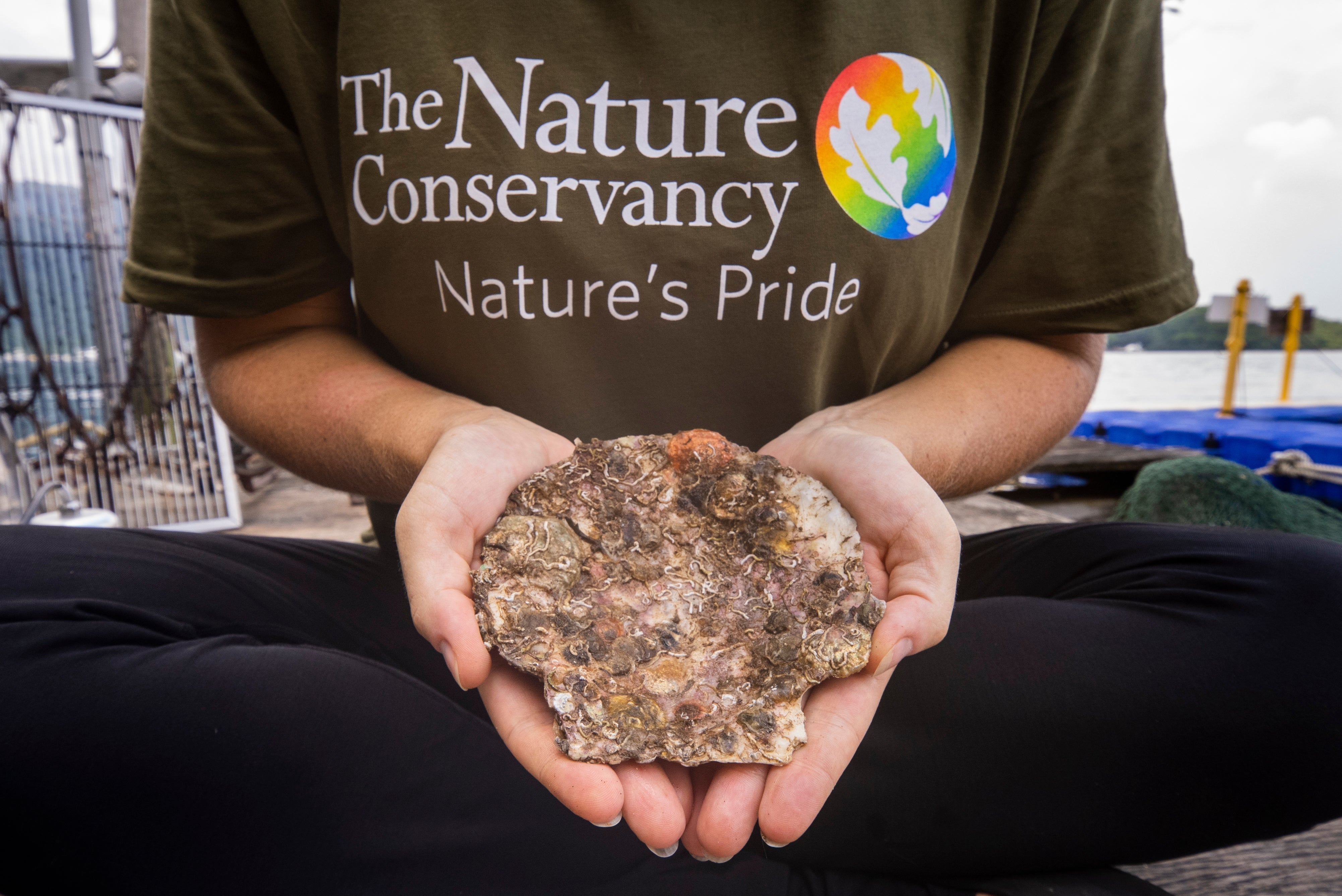 Less Trash and More Reefs