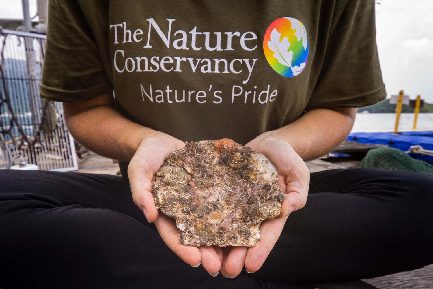 Less Trash and More Reefs