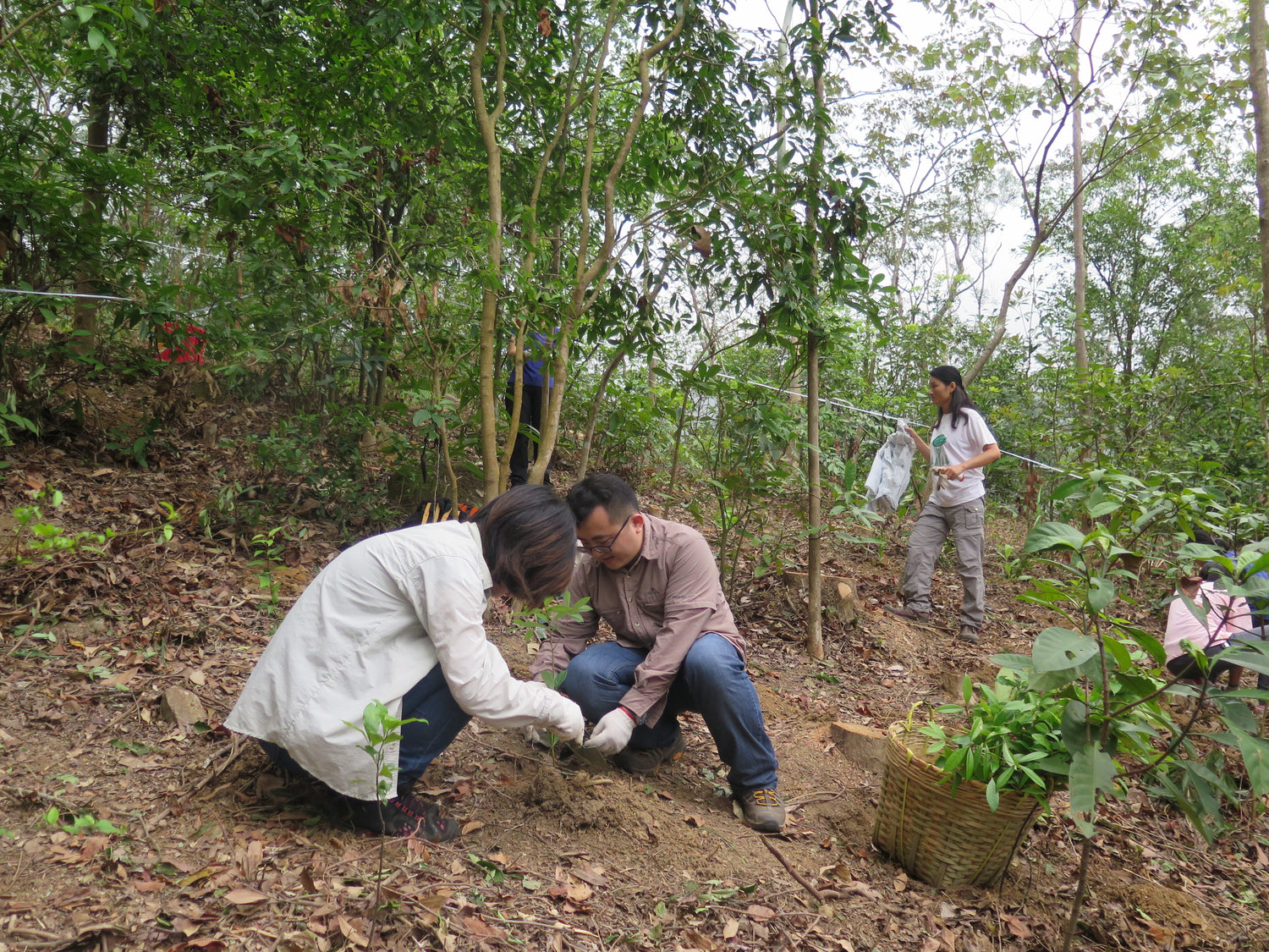 Dedicated to conserving natural and cultural heritage.