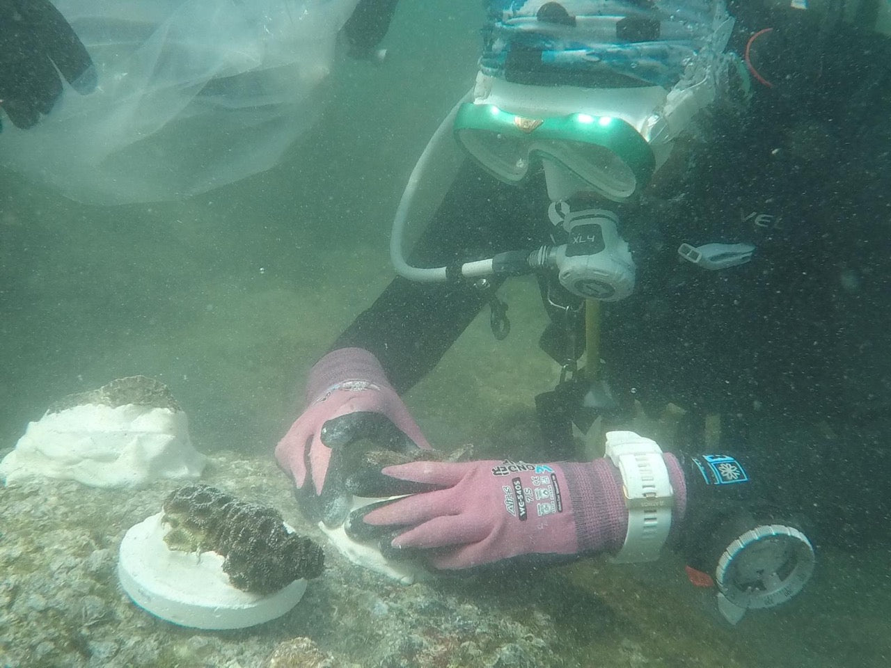 The #ONETONNELESS Initiative