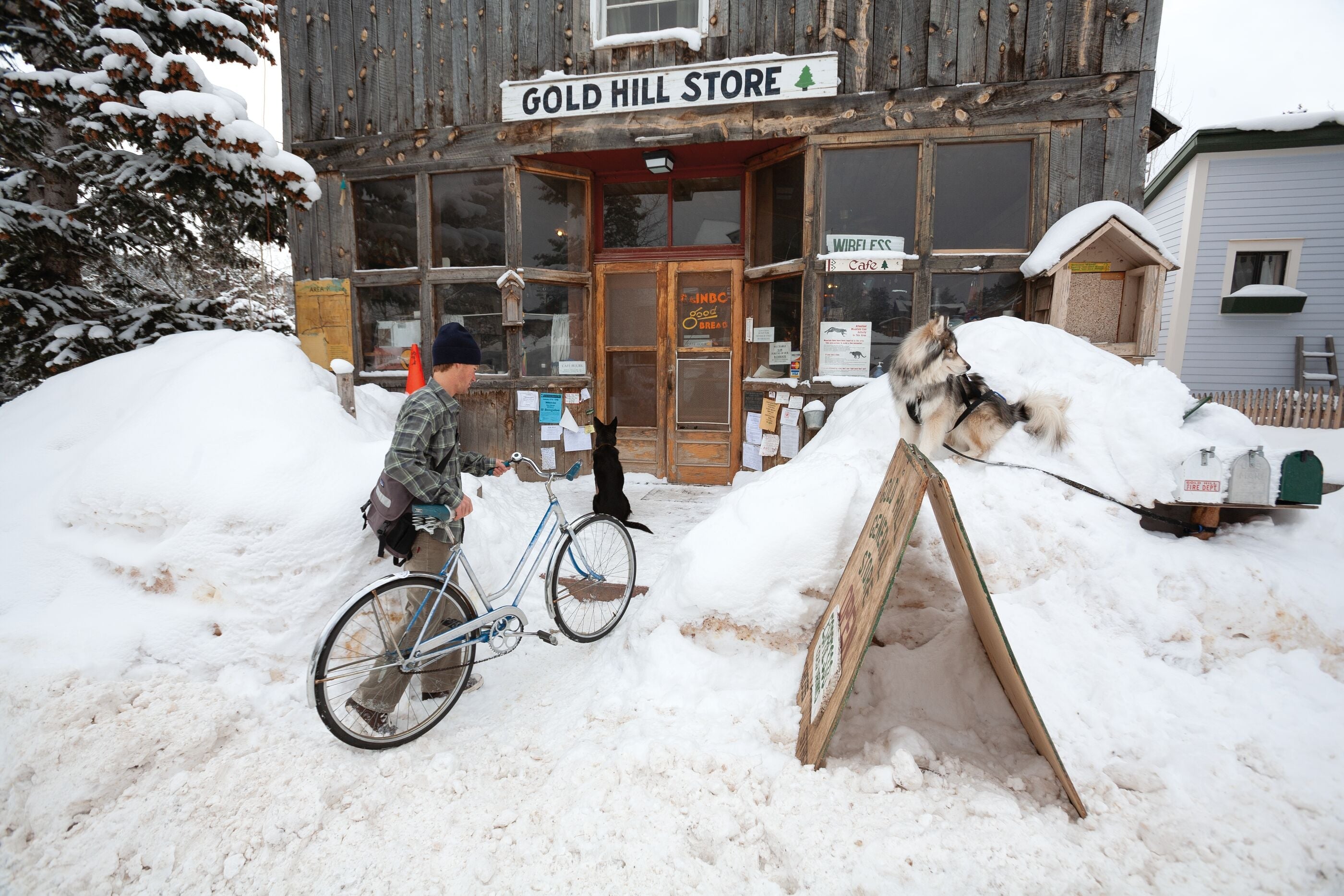 Men's Button Downs Shirts