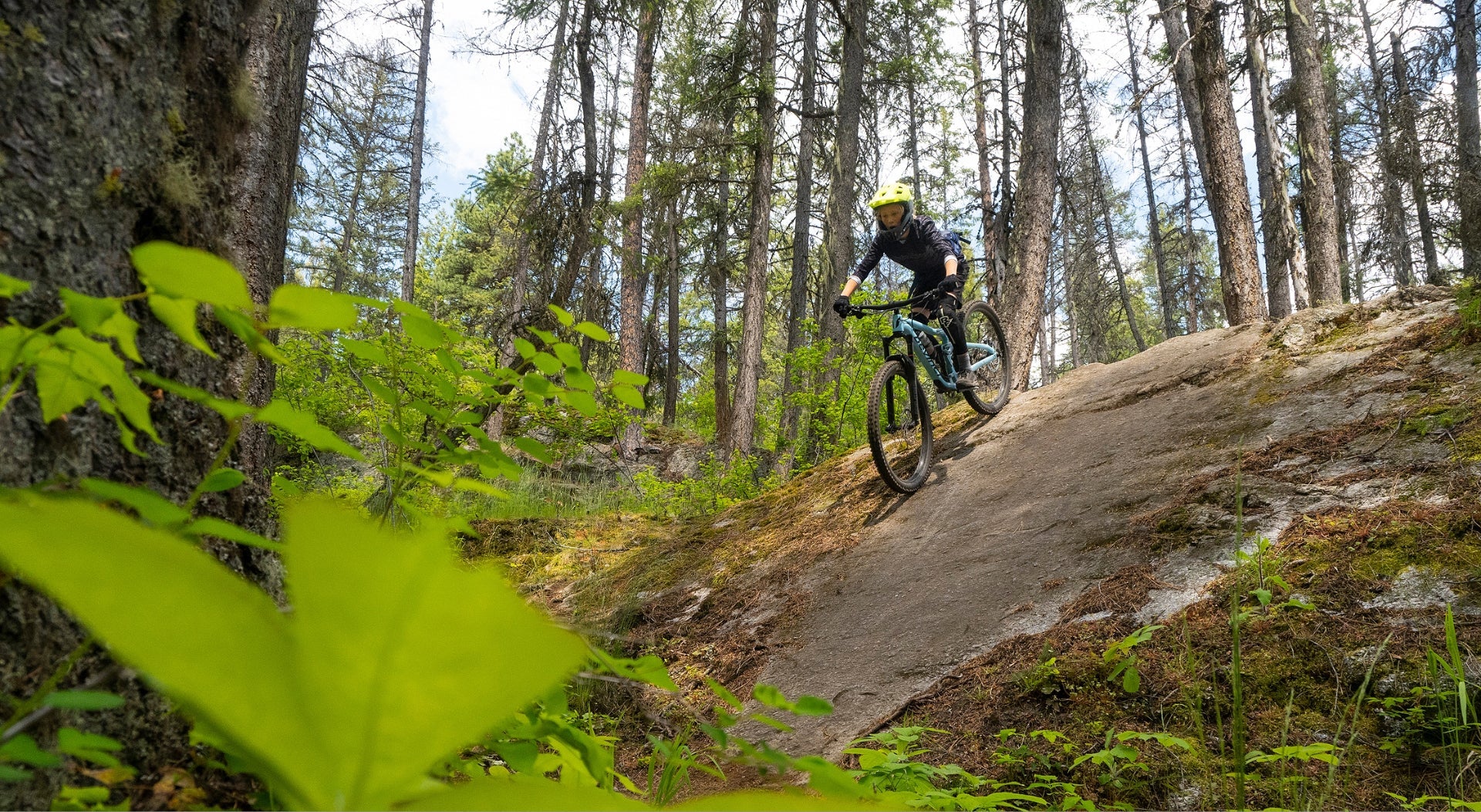 Mountain Biking