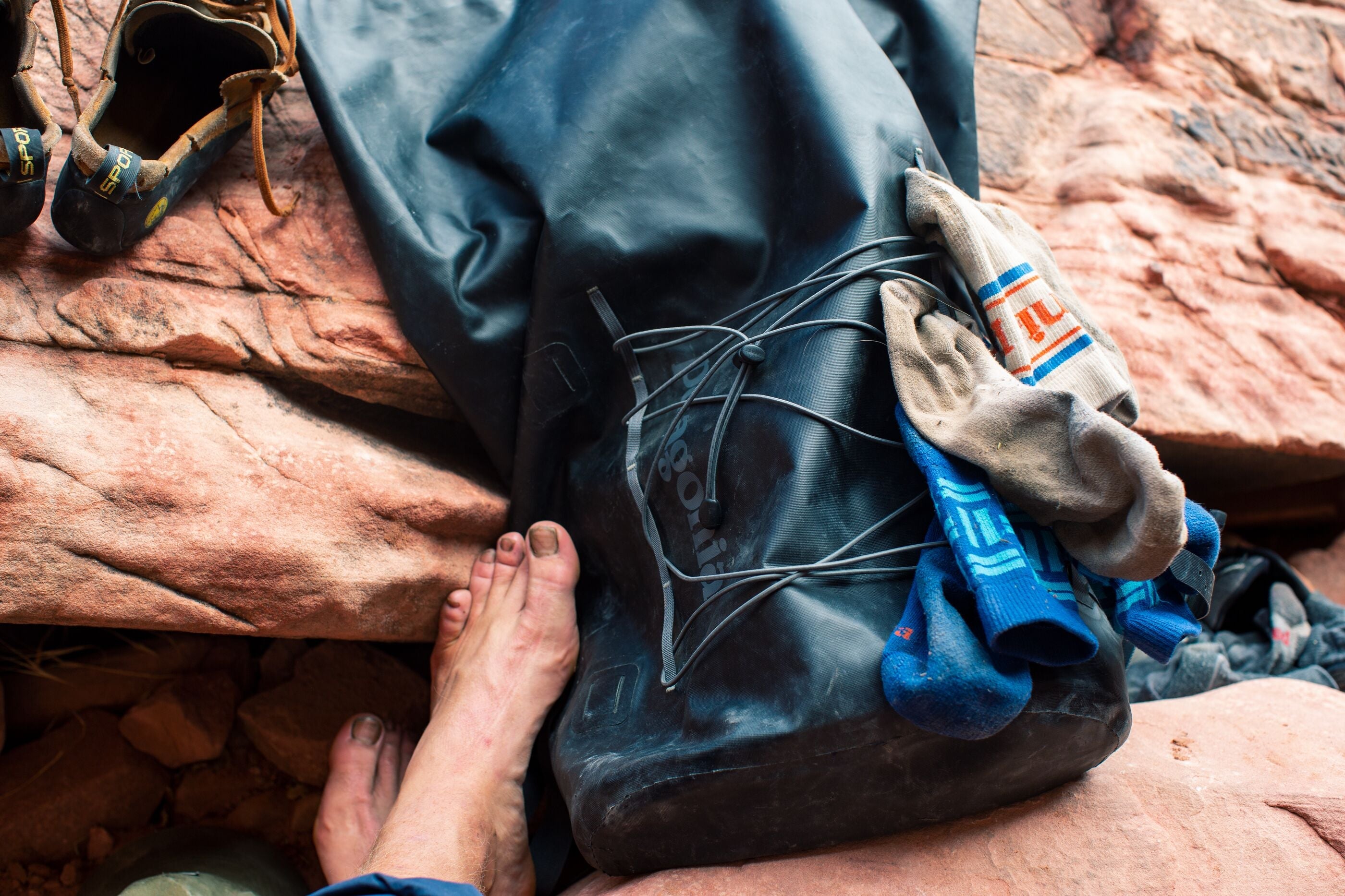 Women's Socks & Underwear