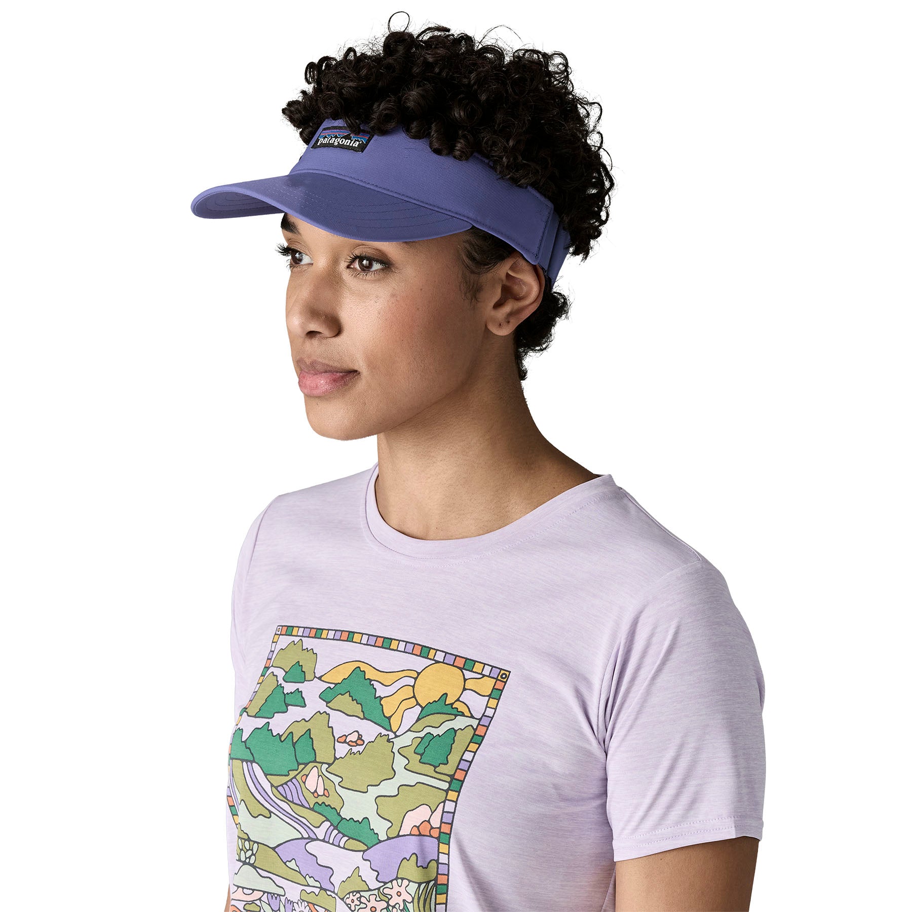 Terrebonne Visor