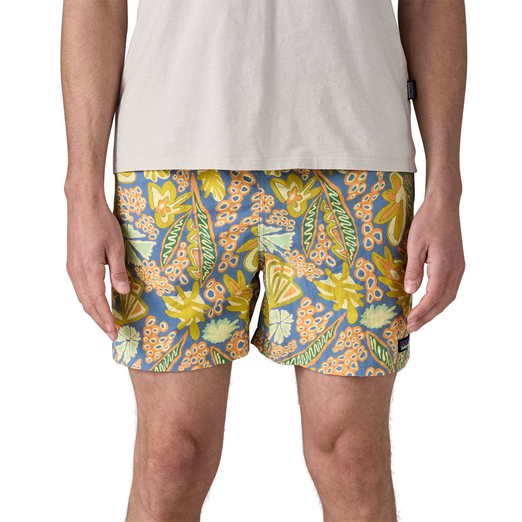 Men's Baggies™ Shorts - 5"