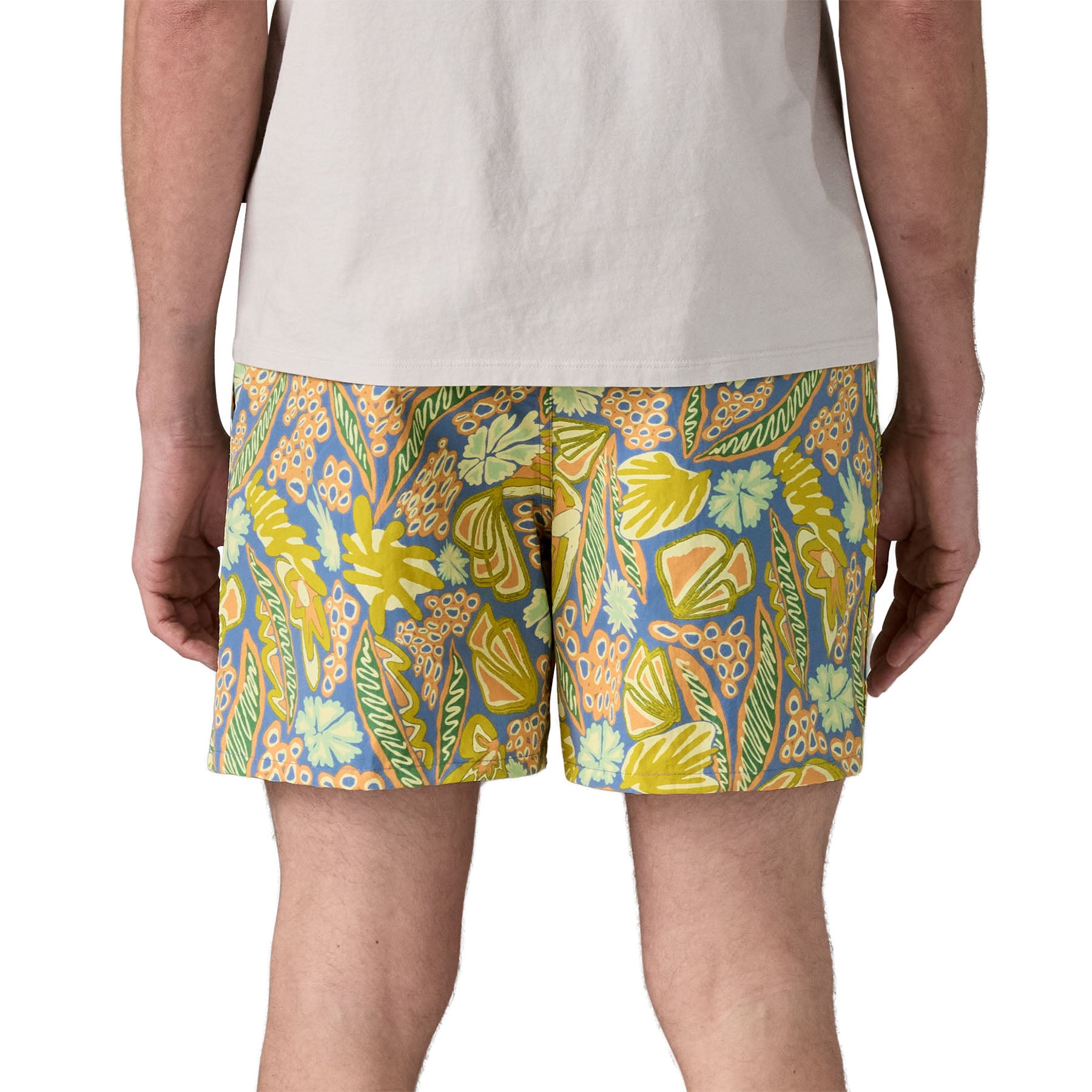 Men's Baggies™ Shorts - 5"