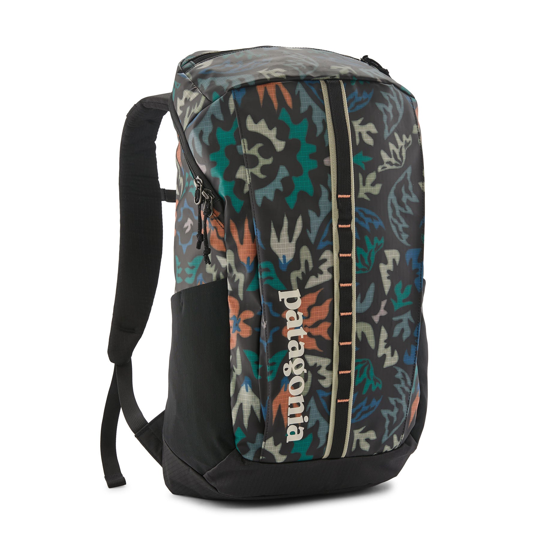 Patagonia Black Hole® Pack 25L
