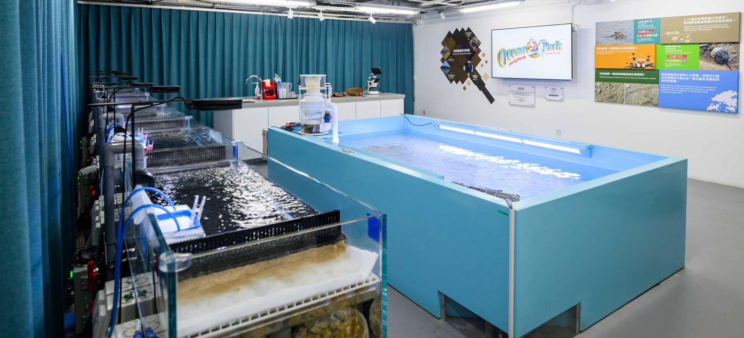 Protect “Living Fossils” on the Brink
