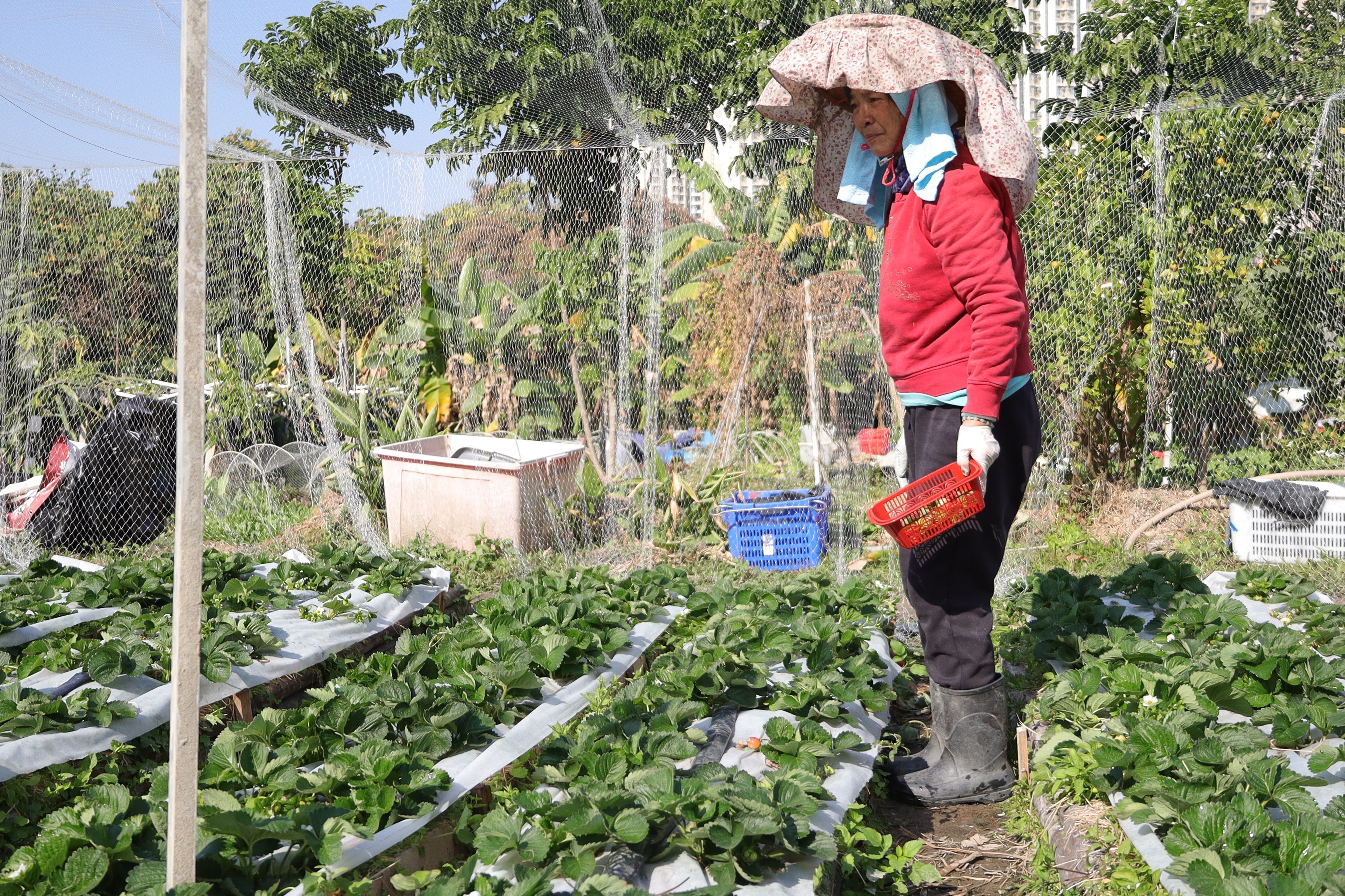 Rooted in Collective Progress