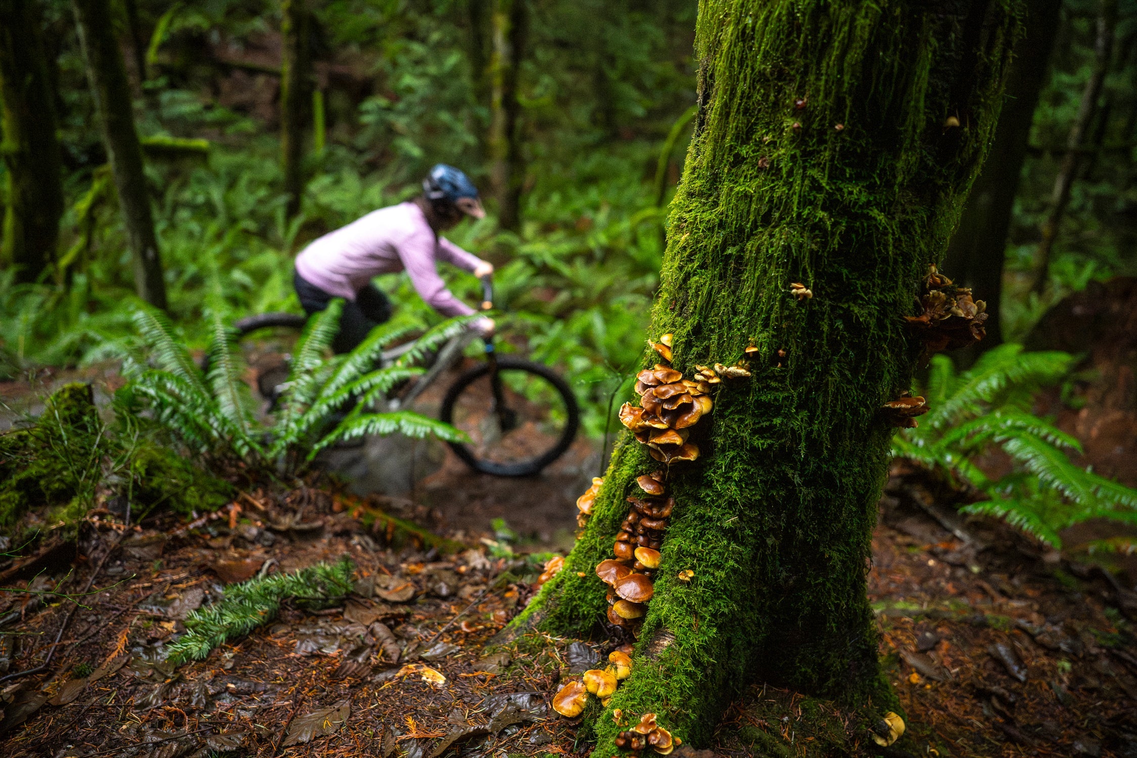Women's Mountain Biking