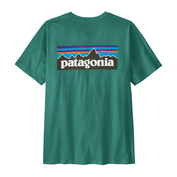 patagonia Tシャツ グリーン　★スペシャル WBS26_37882_GEMG_grande.jpg?v=