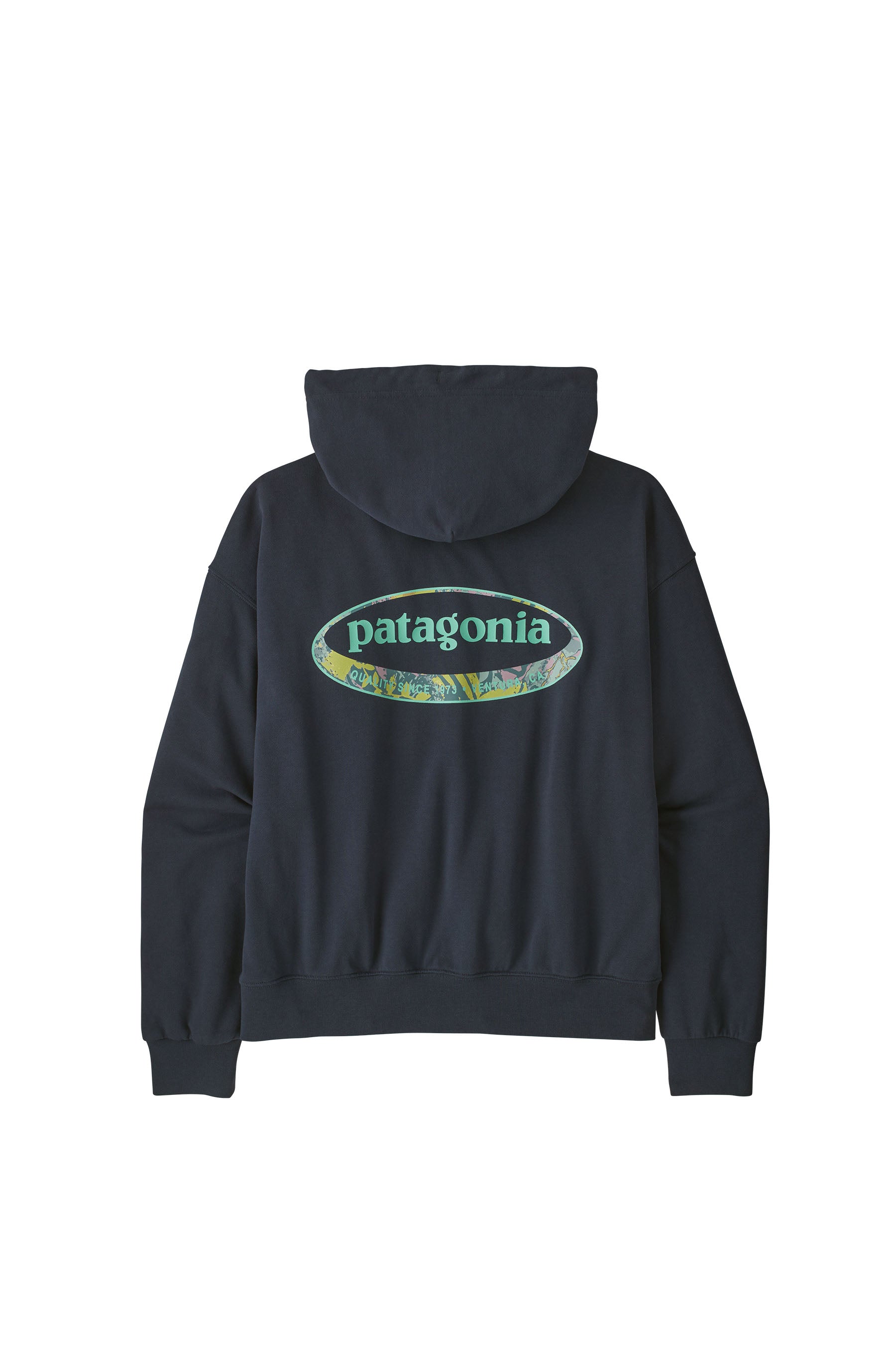 Patagonia Women's '95 Oval Logo Daily Hoody - Smolder Blue: Moon