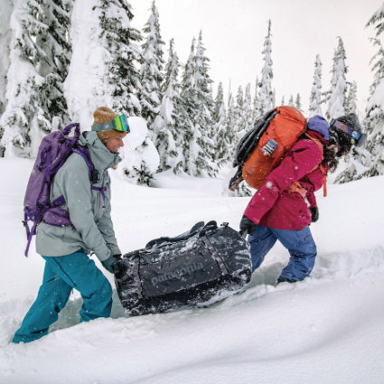 Patagonia online store deals
