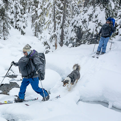 パタゴニア　White バックフォ　グッドフォー s-l1200.jpg